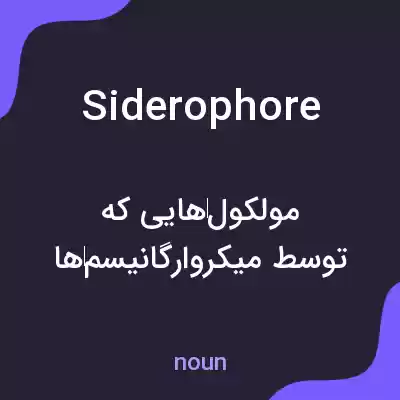 معنی siderophore به فارسی