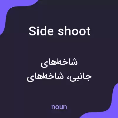 معنی side shoot به فارسی معنی side shoot به فارسی