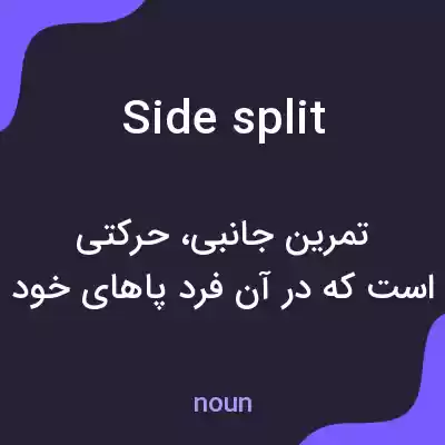 معنی side split به فارسی معنی side split به فارسی