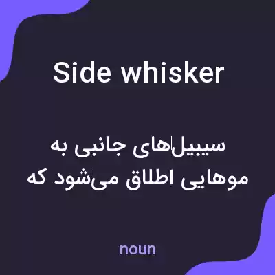 معنی side whisker به فارسی