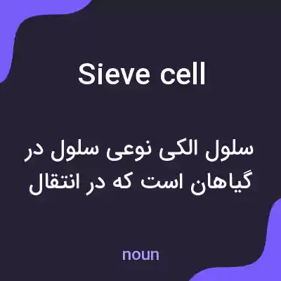 معنی sieve cell به فارسی معنی sieve cell به فارسی