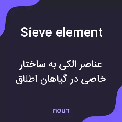 معنی sieve element به فارسی معنی sieve element به فارسی