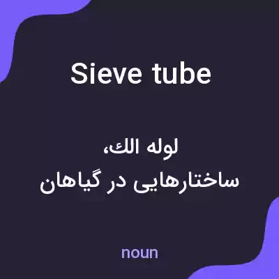 معنی sieve tube به فارسی معنی sieve tube به فارسی