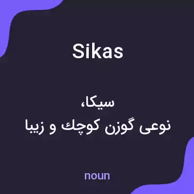 معنی sikas به فارسی معنی sikas به فارسی