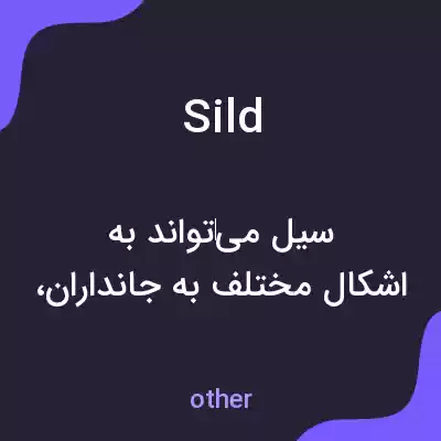 معنی sild به فارسی معنی sild به فارسی