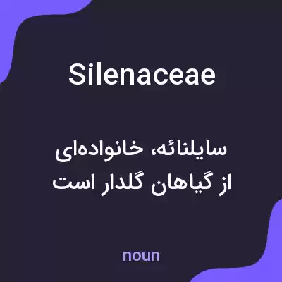 معنی silenaceae به فارسی معنی silenaceae به فارسی