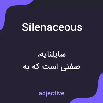 معنی silenaceous به فارسی معنی silenaceous به فارسی