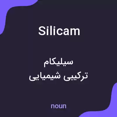 معنی silicam به فارسی معنی silicam به فارسی