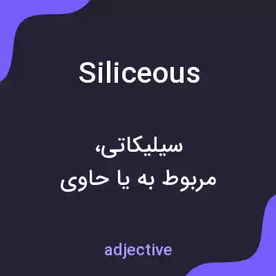 معنی siliceous به فارسی معنی siliceous به فارسی