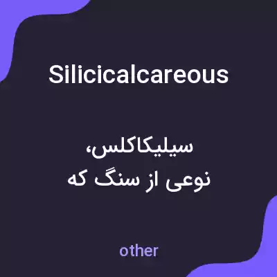 معنی silicicalcareous به فارسی معنی silicicalcareous به فارسی