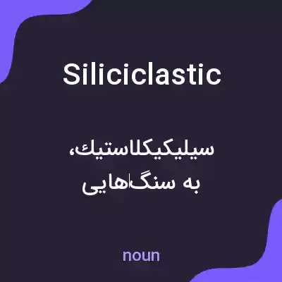 معنی siliciclastic به فارسی معنی siliciclastic به فارسی