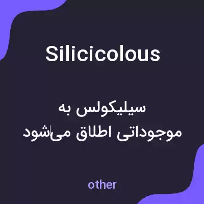 معنی silicicolous به فارسی معنی silicicolous به فارسی