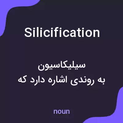 معنی silicification به فارسی معنی silicification به فارسی