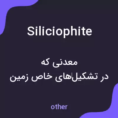 معنی siliciophite به فارسی معنی siliciophite به فارسی
