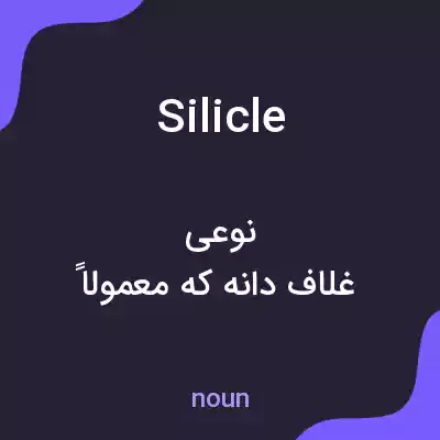 معنی silicle به فارسی معنی silicle به فارسی