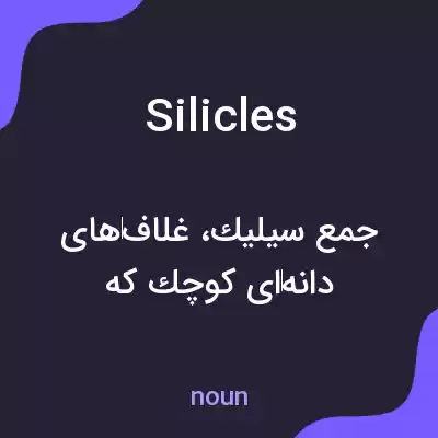 معنی silicles به فارسی معنی silicles به فارسی