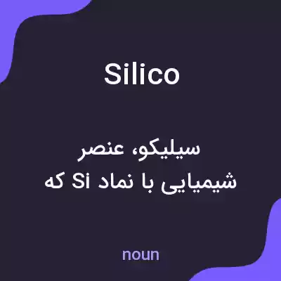 معنی silico به فارسی معنی silico به فارسی