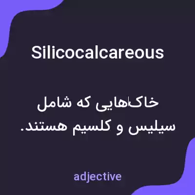 معنی silicocalcareous به فارسی معنی silicocalcareous به فارسی