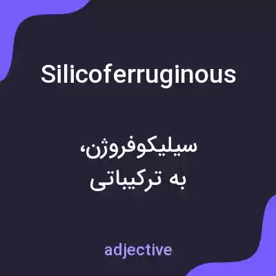 معنی silicoferruginous به فارسی معنی silicoferruginous به فارسی