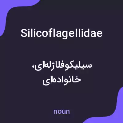 معنی silicoflagellidae به فارسی معنی silicoflagellidae به فارسی