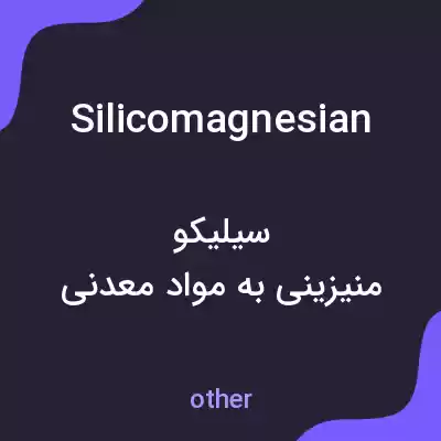 معنی silicomagnesian به فارسی معنی silicomagnesian به فارسی