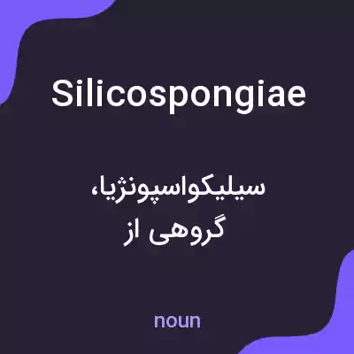 معنی silicospongiae به فارسی معنی silicospongiae به فارسی
