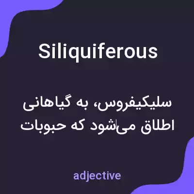 معنی siliquiferous به فارسی معنی siliquiferous به فارسی