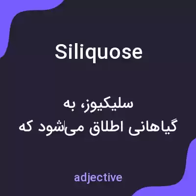معنی siliquose به فارسی معنی siliquose به فارسی