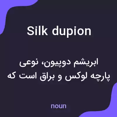 معنی silk dupion به فارسی معنی silk dupion به فارسی