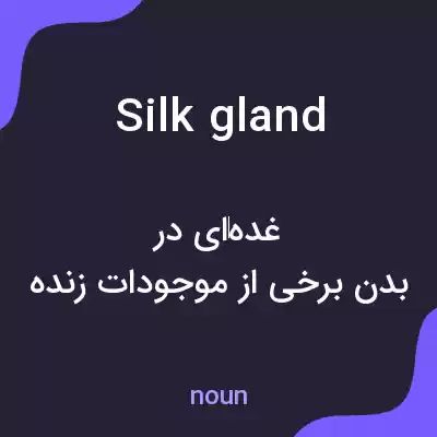 معنی silk gland به فارسی