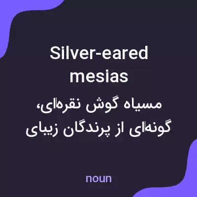 معنی silver-eared mesias به فارسی