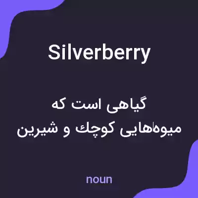 معنی silverberry به فارسی