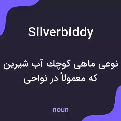 معنی silverbiddy به فارسی معنی silverbiddy به فارسی
