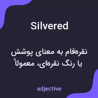 معنی silvered به فارسی