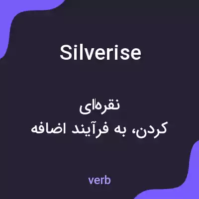 معنی silverise به فارسی معنی silverise به فارسی