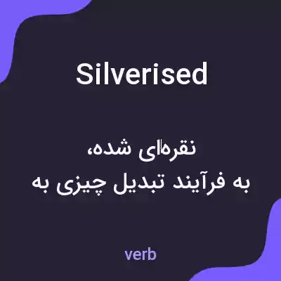 معنی silverised به فارسی معنی silverised به فارسی