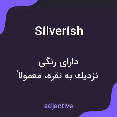 معنی silverish به فارسی معنی silverish به فارسی