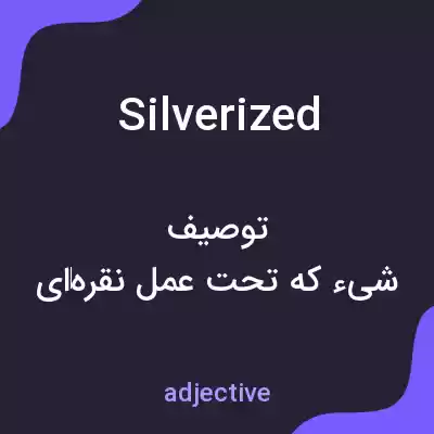 معنی silverized به فارسی معنی silverized به فارسی