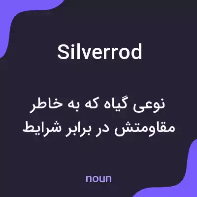 معنی silverrod به فارسی معنی silverrod به فارسی