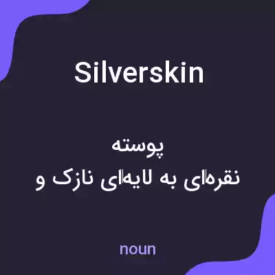 معنی silverskin به فارسی معنی silverskin به فارسی
