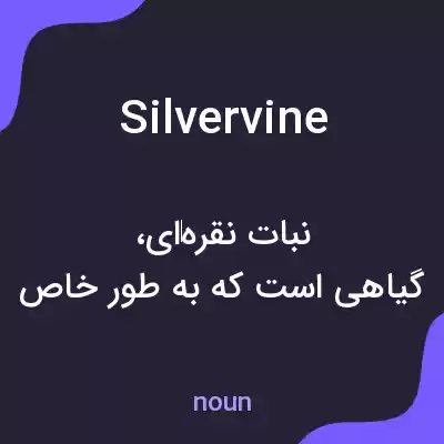معنی silvervine به فارسی معنی silvervine به فارسی