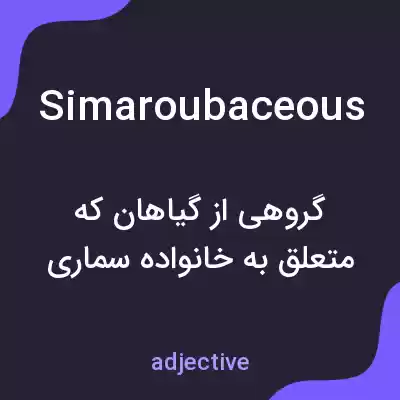 معنی simaroubaceous به فارسی معنی simaroubaceous به فارسی