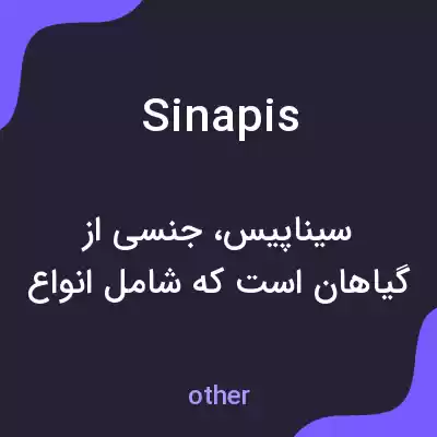 معنی sinapis به فارسی معنی sinapis به فارسی