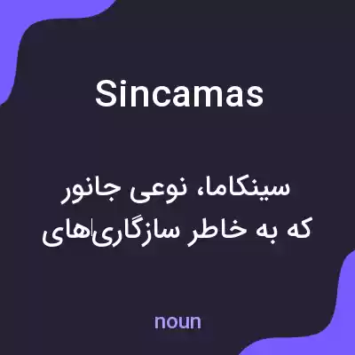 معنی sincamas به فارسی