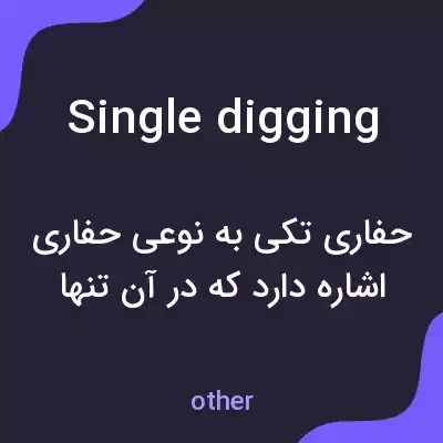 معنی single digging به فارسی