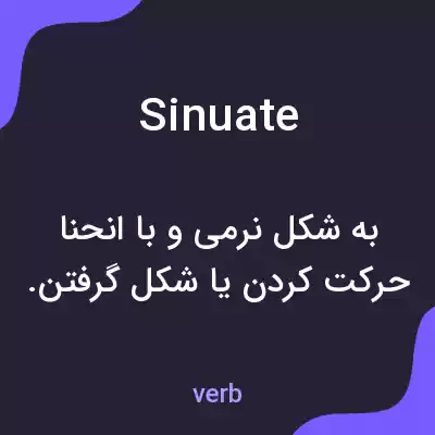 معنی sinuate به فارسی معنی sinuate به فارسی