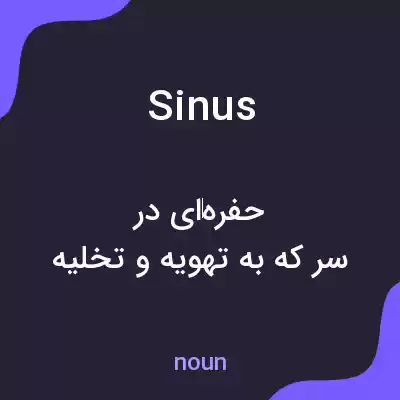 معنی sinus به فارسی معنی sinus به فارسی