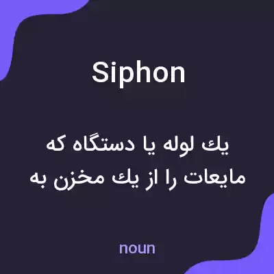 معنی siphon به فارسی معنی siphon به فارسی