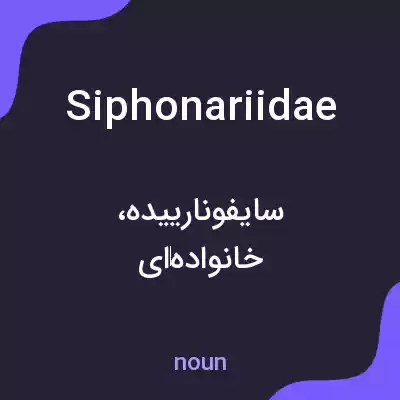 معنی siphonariidae به فارسی معنی siphonariidae به فارسی