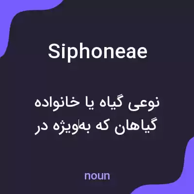 معنی siphoneae به فارسی معنی siphoneae به فارسی